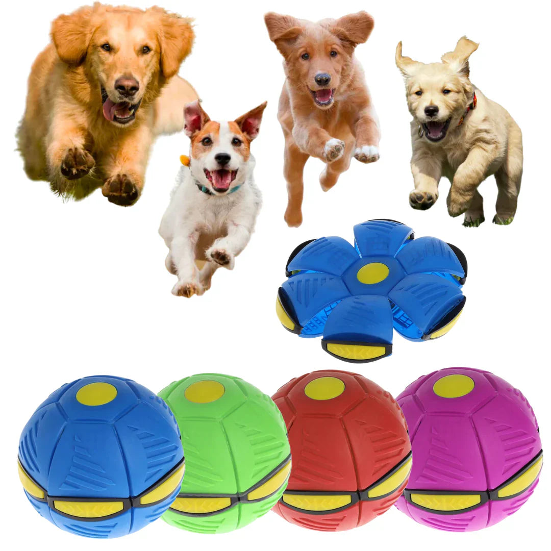 FlyBall™ + cepillo manopla de regalo 🎁